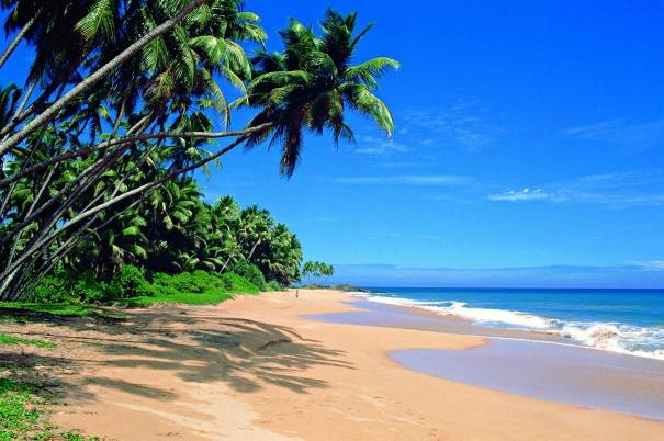 Пляжный отдых в Шри Ланке