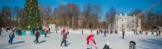 Морозная радость: катки Ленинградской области для зимнего веселья