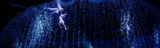 Цирки Санкт-Петербурга: удивительные представления и драйв
