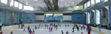 Катки Ленинградской области: где провести время на льду