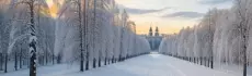 Удивительные зимние радости: где можно отдохнуть и повеселиться на катках Ленинградской области