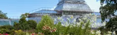 Разнообразие флоры: ботанические сады Санкт-Петербурга и Ленинградской области