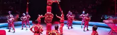 Цирки Москвы: где увидеть невероятные представления