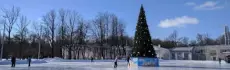 Ледовые забавы: катки Ленинградской области