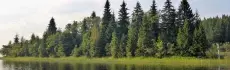 Сохраняем природу: национальные парки и заповедники Москвы и Московской области