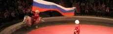 Цирки Санкт-Петербурга: удивительные выступления, которые покорили сердца миллионов
