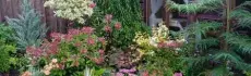 Мир растений: ботанические сады Ленинградской области