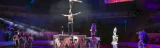 Цирки Москвы: шоу, акробатика и волшебство