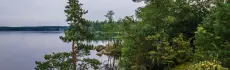 Удивительный мир природы: природные достопримечательности Ленинградской области, которые надо увидеть